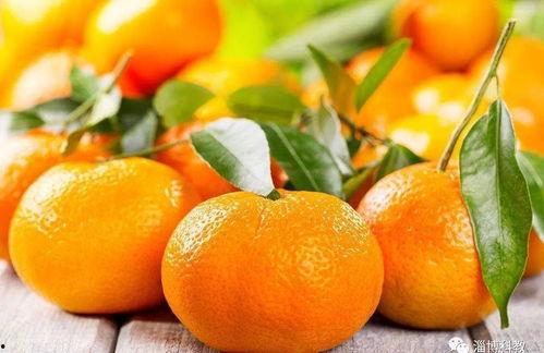 淄博探店橘子呀网红吃瓜视频,跟随橘子呀网红吃瓜，解锁美食新地标