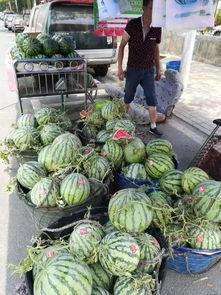 自贡网红吃瓜事件视频