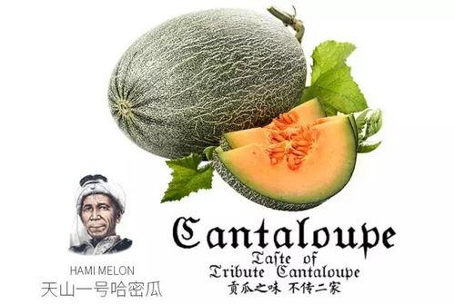 qq网红吃瓜推荐,揭秘热门事件背后的真相