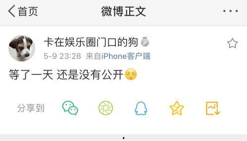 看吃瓜爆料的平台,看吃瓜爆料平台独家揭秘明星幕后故事